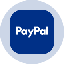 PayPal Tokenized Stock (Ondo) icon